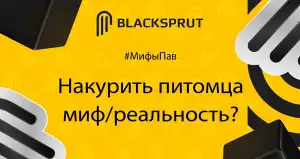 BlackSprut ссылка onion 2kmp vip