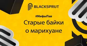 Код аккаунта blacksprut как узнать
